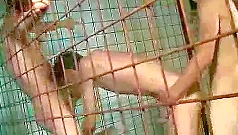 Sexy girl gets fucked from behind
